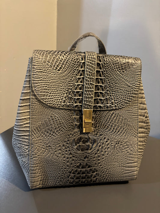 Back pack